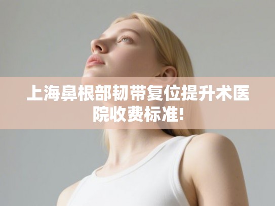上海鼻根部韧带复位提升术医院收费标准!